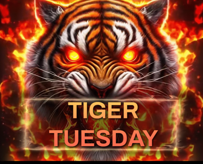Tiger Tuesday 6